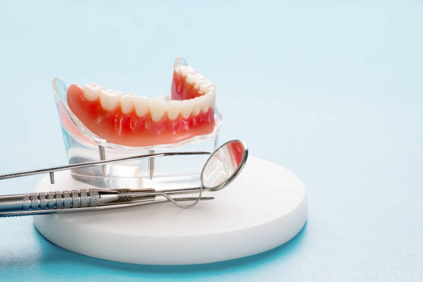 Burton, MI Holistic Dental Services Pros